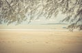 Open beach with leaves framed