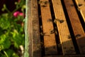 Open beehive with bees are crawling along the hive on honeycomb wooden frame. Apiculture concept. Royalty Free Stock Photo