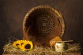 Open beehive and sunflowers