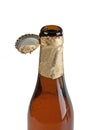 Open beer bottle with cover Royalty Free Stock Photo