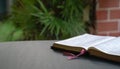 Open bible on black table.  Palm leaves. Soft focus, blur text Royalty Free Stock Photo