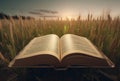 Open Bible book at field sunset view. Generate Ai Royalty Free Stock Photo