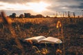 Open bible on the field at sunset Royalty Free Stock Photo