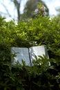 Open Bible in Isaiah chapter 40 outdoors, among green leaves. Background blurred with azalea flowers and sky.