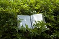 Open Bible in Isaiah chapter 40 outdoors, among green leaves.