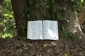 Open Bible in Isaiah chapter 40 outdoors. Leaves and tree trunk background. Horizontal shot