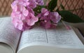 Open Bible and lilac flowers