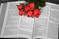 Open Bible with red roses Royalty Free Stock Photo