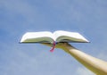 Open Bible with sky background Royalty Free Stock Photo