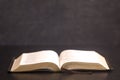 Open Bible on a Slate Tabletop Royalty Free Stock Photo