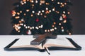 An open Bible on the table. Prayer. Wooden cross. Crucifix. On the background of the Christmas tree. Light and garlands Royalty Free Stock Photo