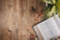 Open bible on a wooden table whit a blanket and a plant Royalty Free Stock Photo