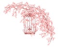 Open bird cage among blooming sakura vector design Royalty Free Stock Photo