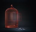 An open bird cage with feathers