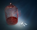 An open bird cage with feathers Royalty Free Stock Photo