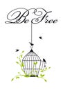 Open birdcage with free birds, vector