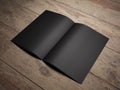 Open black book Royalty Free Stock Photo
