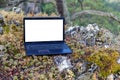 An open black laptop stands on a rock.