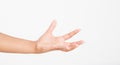 Open a black woman`s hand, palm up isolated on white background.Front view. Mock up. Copy space. Template. Blank. Royalty Free Stock Photo