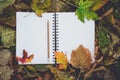 Open blank book on dry leaves in autumn. Reading, Nostalgic, Education and back to school concept.