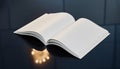 Open Blank Book on Reflective Surface Royalty Free Stock Photo