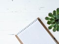 Open blank checked notebook, black pen and succulent on a white wooden background. Top view. Copy space Royalty Free Stock Photo