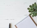 Open blank checked notebook, black pen and succulent on a white wooden background. Top view. Copy space Royalty Free Stock Photo