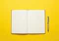 Open blank notebook with a silver pen placed beside it isolated on white background Royalty Free Stock Photo