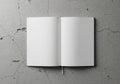 An open, blank notebook with white pages rests on a cracked Royalty Free Stock Photo