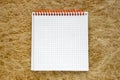 Open blank notepad on organic  yellow straw textured backgrounds. Royalty Free Stock Photo