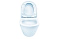 Open blue flush toilet Royalty Free Stock Photo