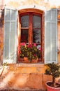 Open, blue, wood, window shutters with flowered , plants on sill