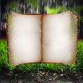 Open book Royalty Free Stock Photo