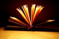 Open book [2] Royalty Free Stock Photo
