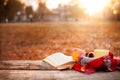 Open book, apple and tea cup with warm scarf