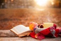 Open book, apple and yellow tea cup with warm scarf