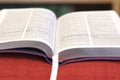 Open book Bible. The book of life Royalty Free Stock Photo