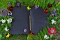 Open book with black pages, herbs and summer flowers on green witch table