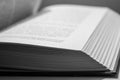 Open book black and white. Literature and education concept. Open pages with text monochrome. Royalty Free Stock Photo