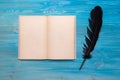 Open book. Royalty Free Stock Photo