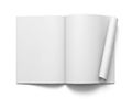 Open book with blank pages Royalty Free Stock Photo