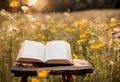 Open Book On Wooden Stool In Meadow