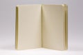 Open book blank pages Royalty Free Stock Photo