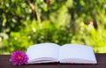 Open book with blank white pages on the table. Open book on a green natural background. Royalty Free Stock Photo