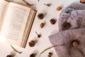 Open book with blurred text, knit work, heather, cones, acorns and chestnuts on a light background.