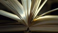 Open book,book pages in dim light. Close up shot with shallow depth of field. Education,reading,literature,learning,wisdom concept Royalty Free Stock Photo