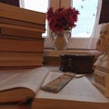 Open book with bookmark on white shelf, stacked books in the background, vase with flowers, bust, decorative wooden box, window