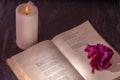 An open book with a candle. on the pages is a Bud of dried rose. Royalty Free Stock Photo