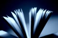 Open book close-up Royalty Free Stock Photo