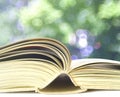 Open book, close up on blurred nature background. Reading,learning, education Royalty Free Stock Photo